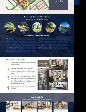Theme wordpress bds 37